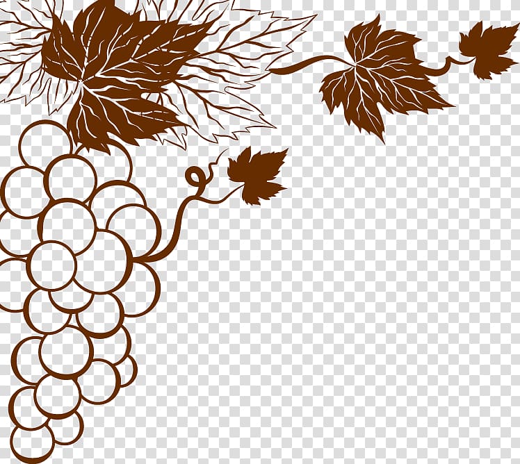 Motif Vine, grape transparent background PNG clipart