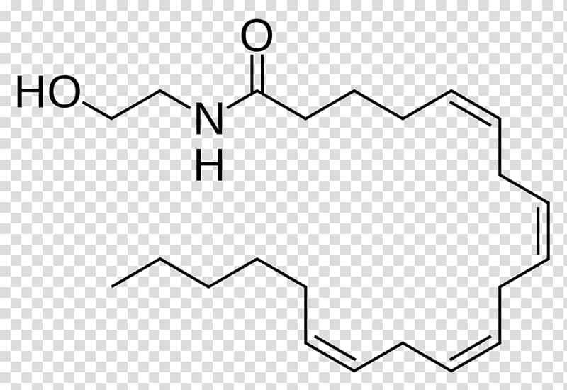 Anandamide Tetrahydrocannabinol Endocannabinoid system Cannabinoid receptor, cannabis transparent background PNG clipart