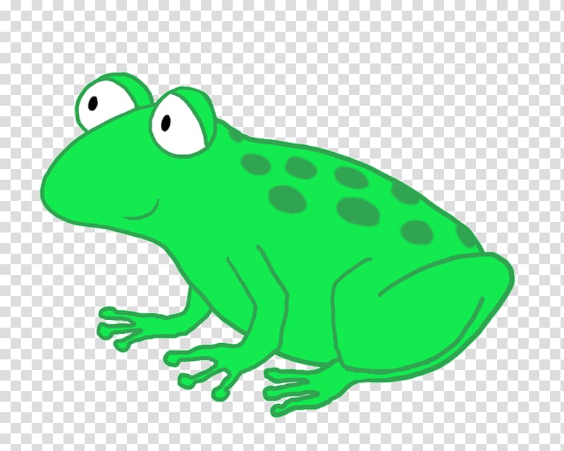 Toad True frog Tree frog , frog transparent background PNG clipart