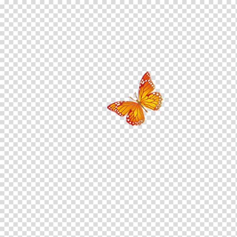 Butterfly Pattern, butterfly transparent background PNG clipart