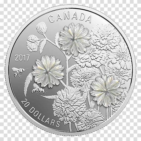 Silver coin Canada Flower, Coin transparent background PNG clipart