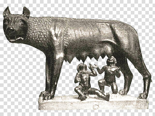Capitoline Wolf Gray wolf Capitoline Museums Origo gentis romanae Romulus and Remus, ancient beast transparent background PNG clipart