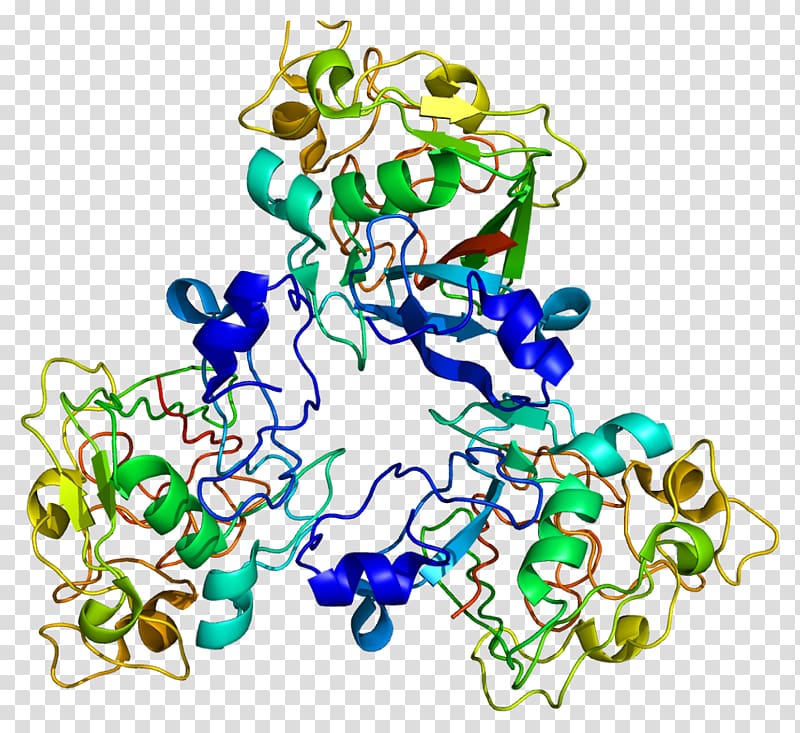 FCN3 Human Gene Protein Ficolin, transparent background PNG clipart