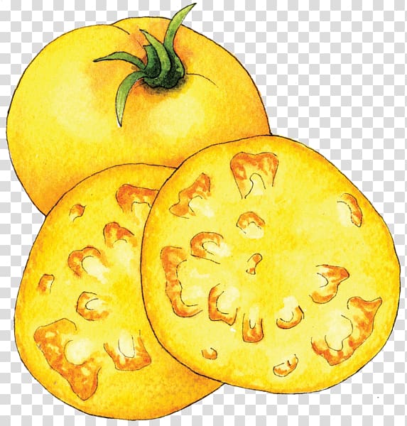 Winter squash Calabaza Vegetarian cuisine Food Cucurbita, others transparent background PNG clipart