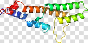 Line , design transparent background PNG clipart thumbnail