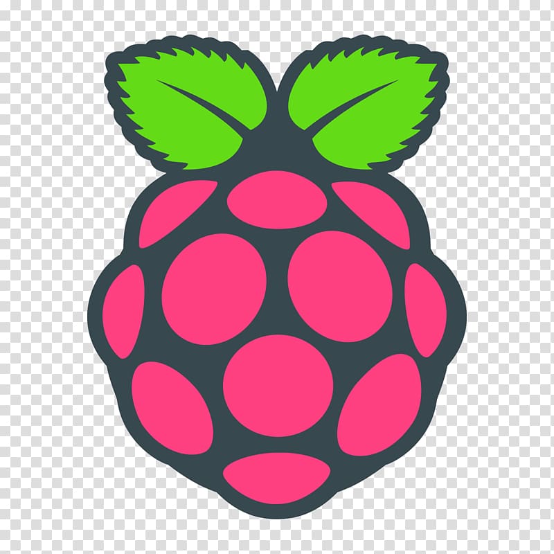 Raspberry Pi Foundation Computer Cases & Housings Raspbian, raspberries transparent background PNG clipart