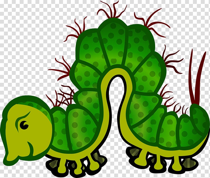 Insect Caterpillar , Crawling caterpillar transparent background PNG clipart