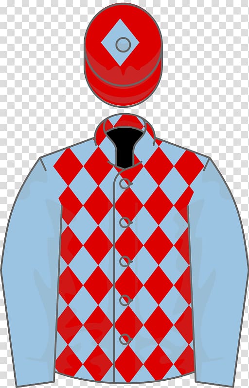 Pajamas Ringella Horse Irish flat racing Champion Jockey T-shirt, Meydan Racecourse transparent background PNG clipart