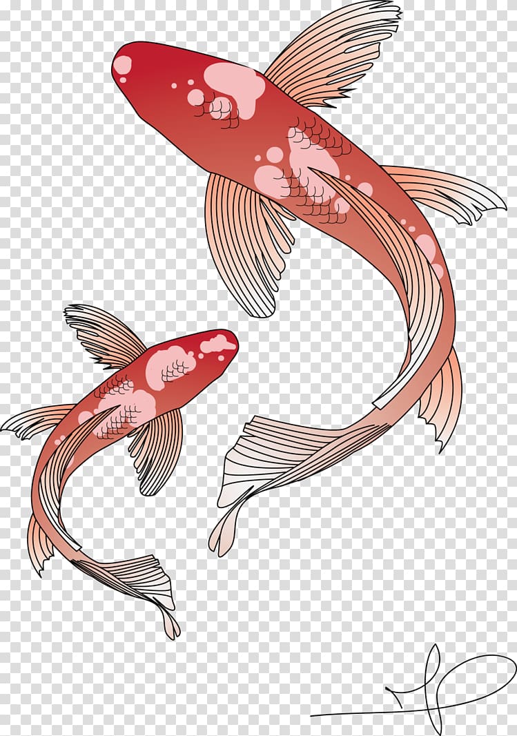 two red and white fish painting, Koi Goldfish Carp, koi transparent background PNG clipart