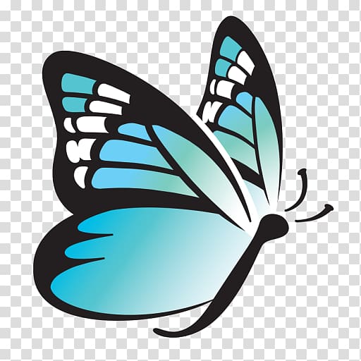 Monarch butterfly Limited liability company Business EMPOWERMENT LLC Ignite Your Power, Business transparent background PNG clipart