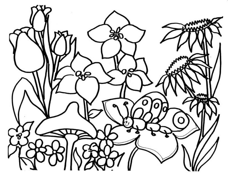 Coloring book Ruth Heller\'s Animals Flower Adult Child, get well free transparent background PNG clipart