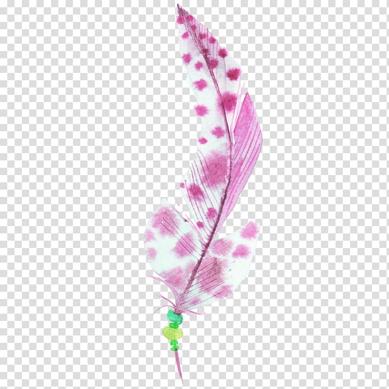 Bird Feather Watercolor painting, Hand-painted feathers transparent background PNG clipart
