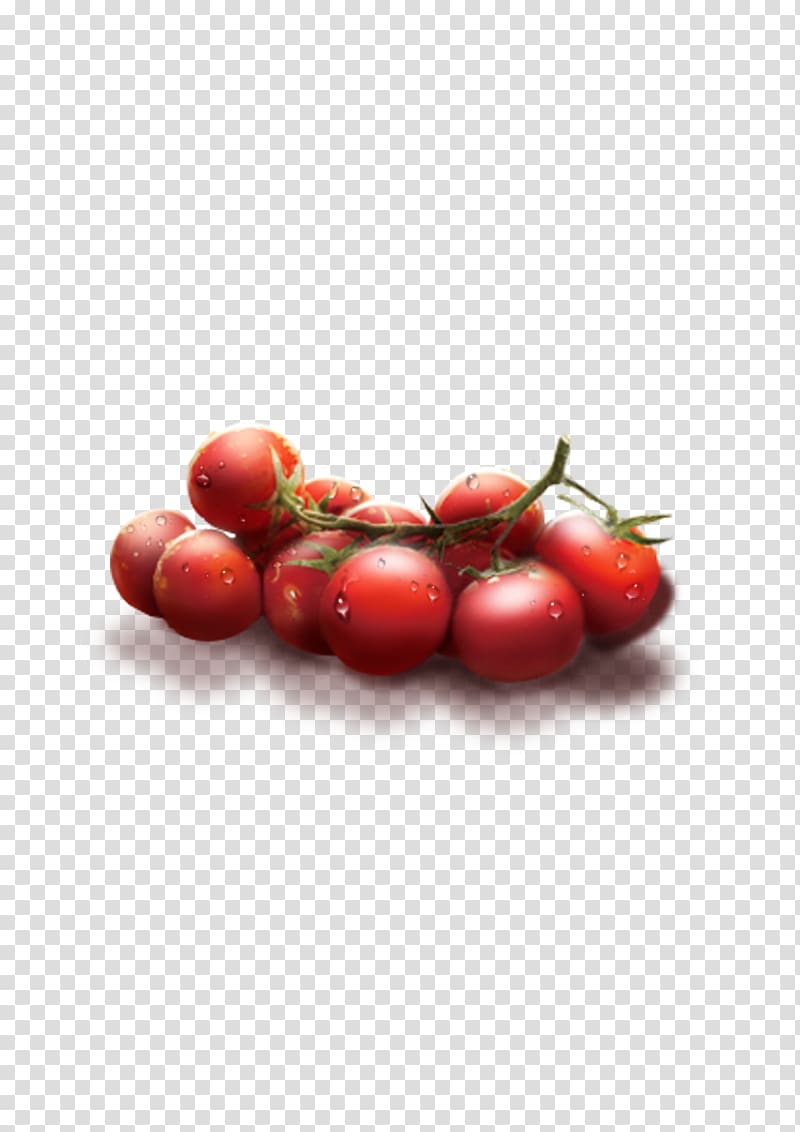 Plum tomato Cherry tomato Fruit Auglis, Cherry tomatoes transparent background PNG clipart