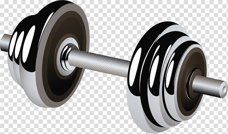 Barbell transparent background PNG clipart