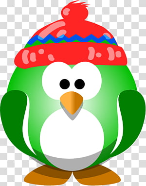 Emperor Penguin Bird King penguin , bird wearing a hat transparent background PNG clipart thumbnail