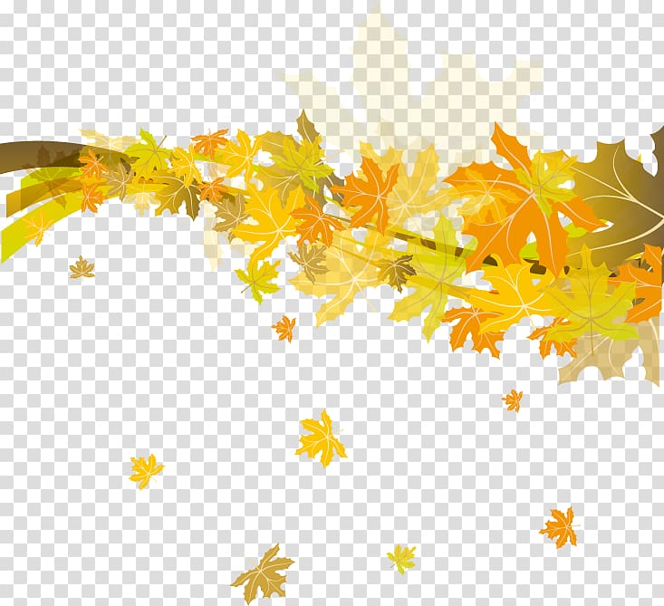 CorelDRAW Template, Beautiful autumn leaves leaves transparent background PNG clipart