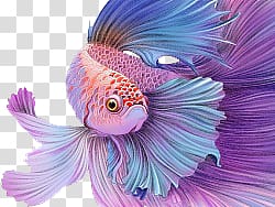 creative fish transparent background PNG clipart creative fish transparent background PNG clipart