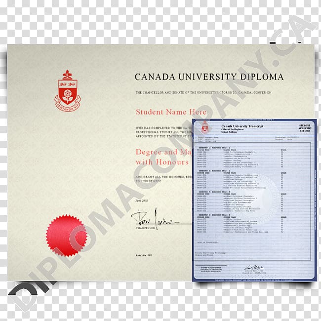 Thompson Rivers University George Brown College Diploma Transcript Academic degree, fakedegree transparent background PNG clipart