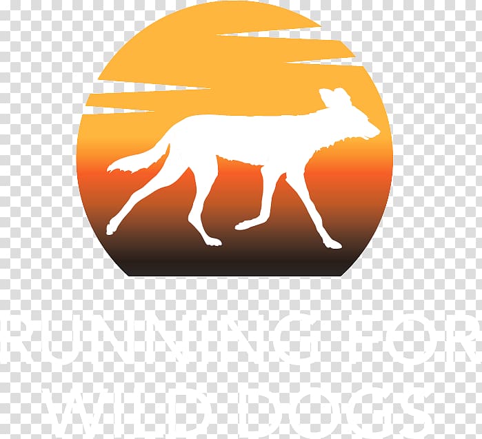 African wild dog Dhole Camel Snout, Dog transparent background PNG clipart