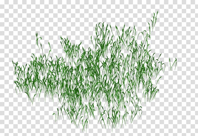 Green Transparency and translucency, Green grass transparent background PNG clipart