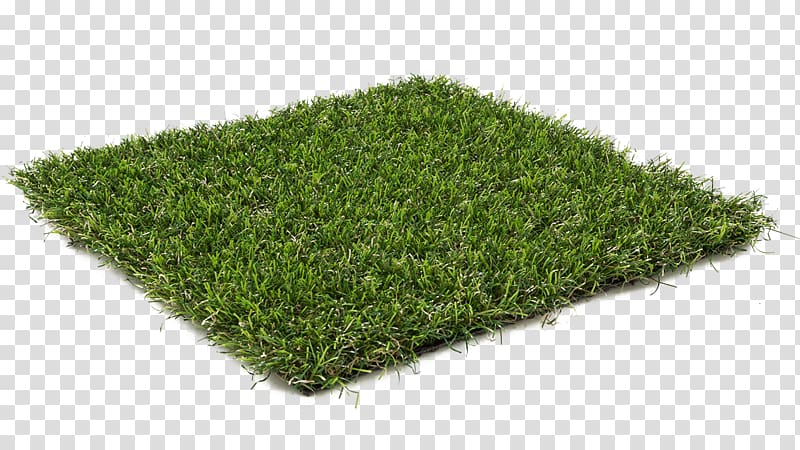 Lawn Artificial turf Grass Garden Carpet, grass transparent background PNG clipart