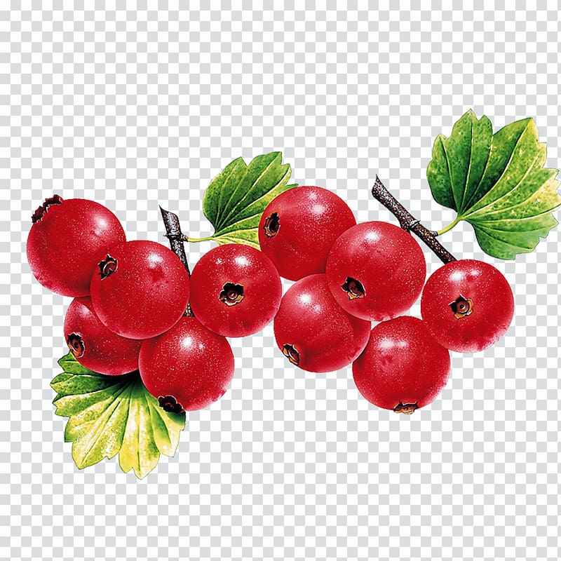 Berry Fruit Leaf Vegetable Illustration, Cherry transparent background PNG clipart
