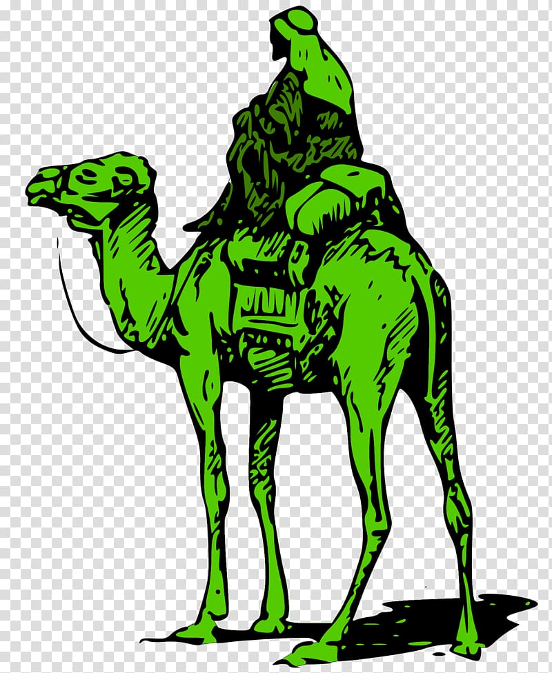 United States Silk Road Darknet market Bitcoin, camel transparent background PNG clipart
