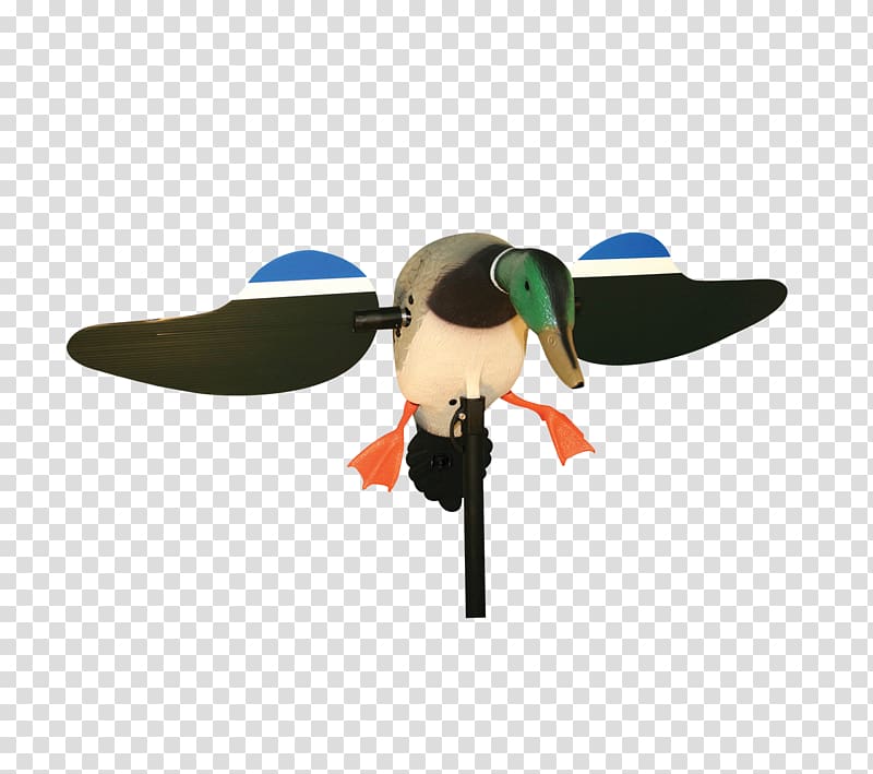 MOJO Mallard Drake Decoy Duck decoy, duck transparent background PNG clipart