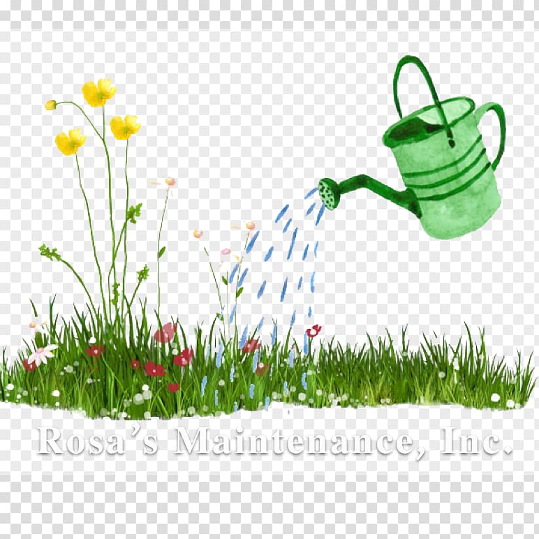 Watering Cans Garden Irrigation sprinkler , Clean Monday transparent background PNG clipart