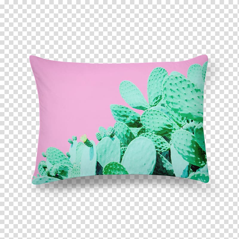 Cactaceae Cactus garden Throw Pillows Plant Desert, cactus transparent background PNG clipart