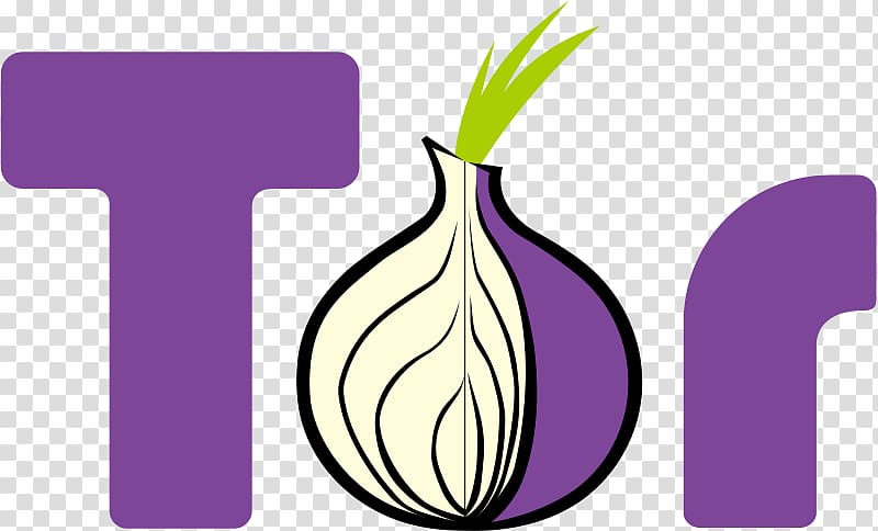 purple onion tor