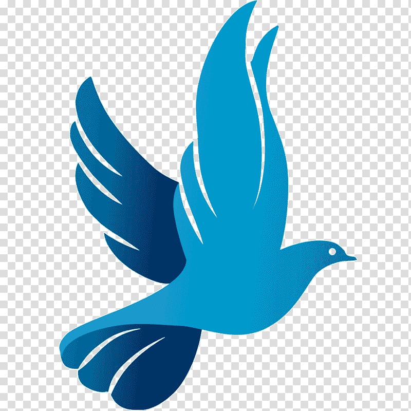 Columbidae Rock dove Doves as symbols Computer Icons Peace symbols, symbol transparent background PNG clipart