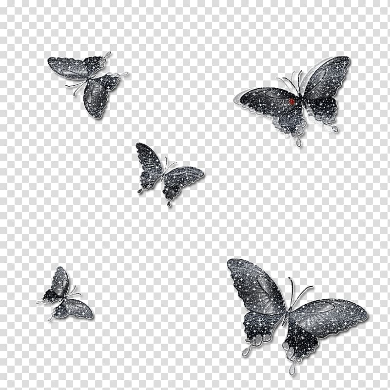 Monarch butterfly Insect Moth , butterfly transparent background PNG clipart
