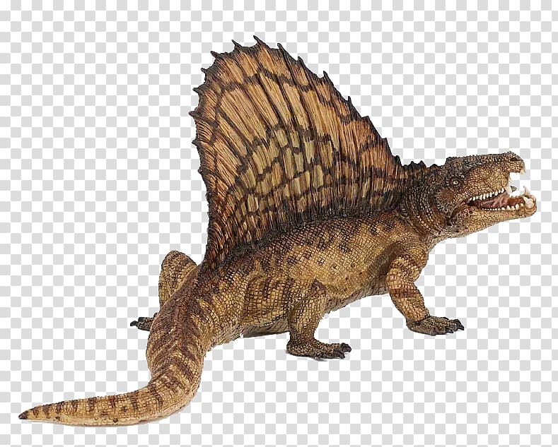 Tyrannosaurus Spinosaurus Acrocanthosaurus Dinosaur Dimetrodon, dinosaur transparent background PNG clipart