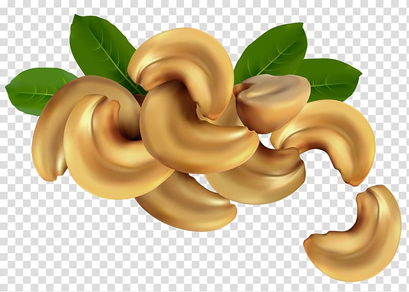 cashew nuts illustration, Cashew Nucule illustration, Cashew Nuts transparent background PNG clipart