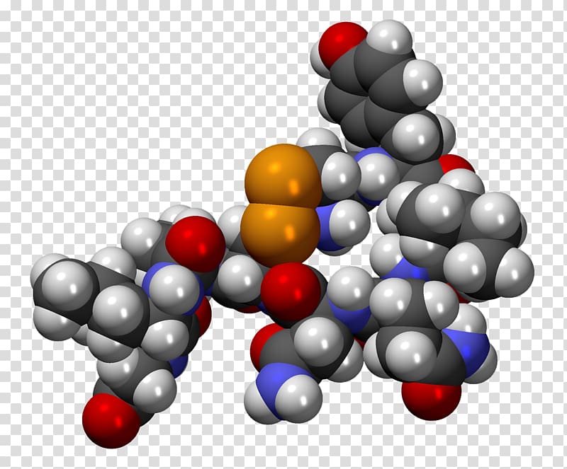 Oxytocin Molecule Hormone Molecular mass Peptide, love chemistry transparent background PNG clipart