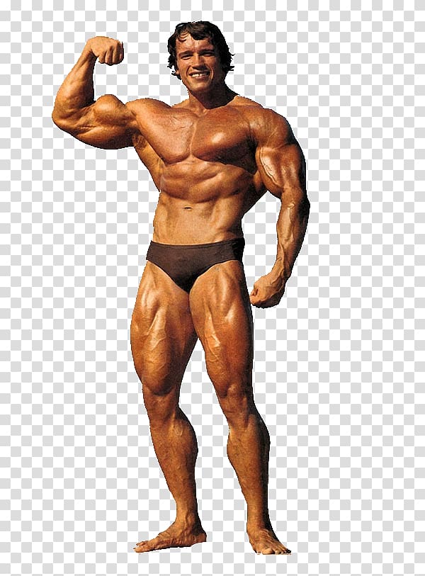 Mr. Olympia Universe Championships Female bodybuilding Actor, bodybuilding transparent background PNG clipart