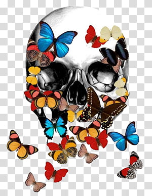 Avenged Sevenfold Skull transparent PNG - StickPNG