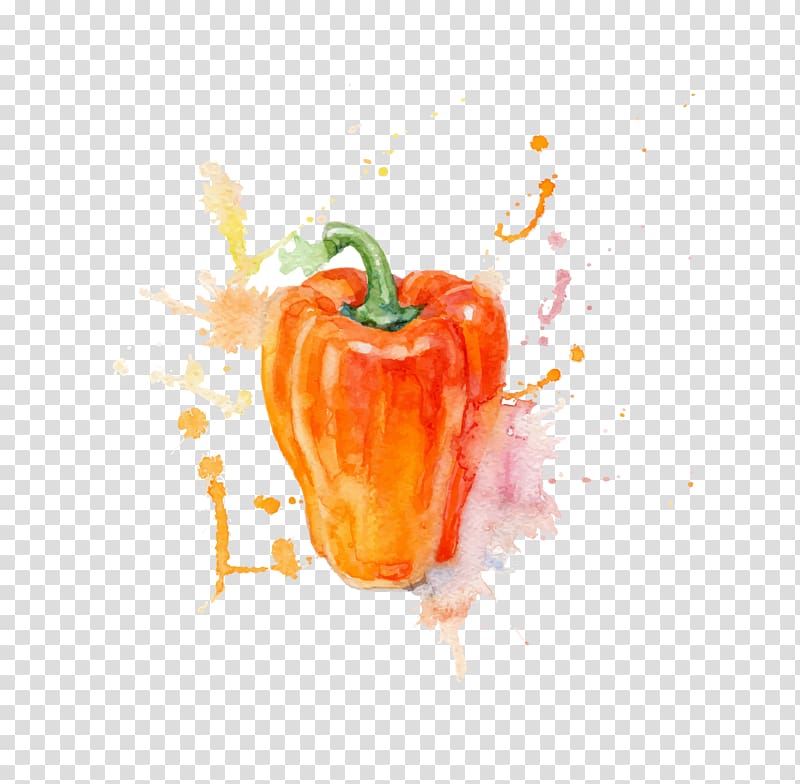 Watercolor painting Vegetable, watercolor persimmon pepper material transparent background PNG clipart