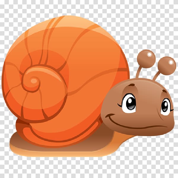 Beaver Sea snail Animal , Snail transparent background PNG clipart