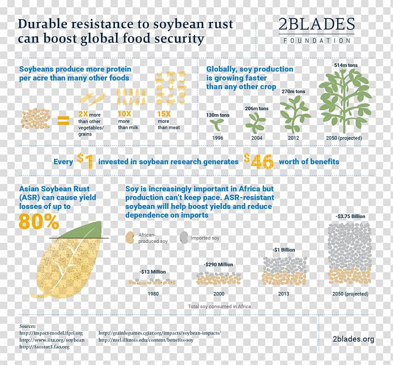 Soybean rust Infographic, vigina transparent background PNG clipart