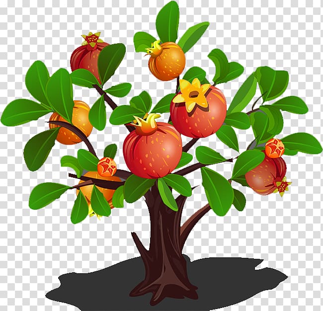 Pomegranate Tree , pomegranate transparent background PNG clipart