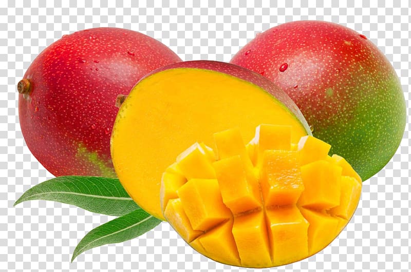 Panama City Mangifera indica International Mango Festival Coronado, Panama, Red mango transparent background PNG clipart