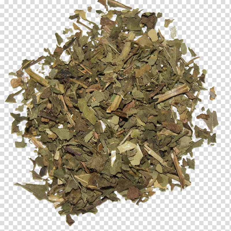 Hōjicha Darjeeling tea Green tea Sencha, tea transparent background PNG clipart