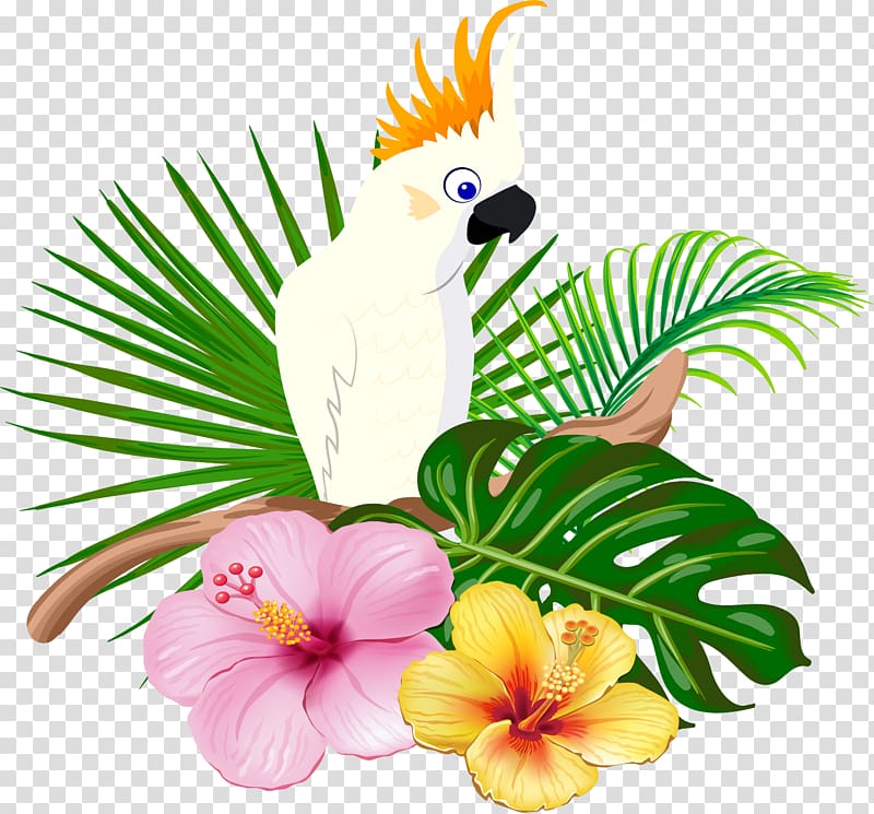 Parrot Bird Floral design, White parrot transparent background PNG clipart