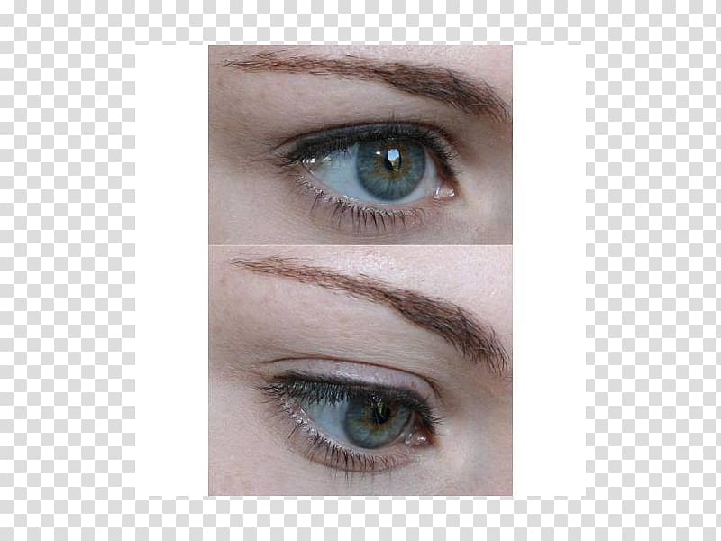 Eyelash extensions Eye liner Eye Shadow Kohl Mascara, eye liner transparent background PNG clipart