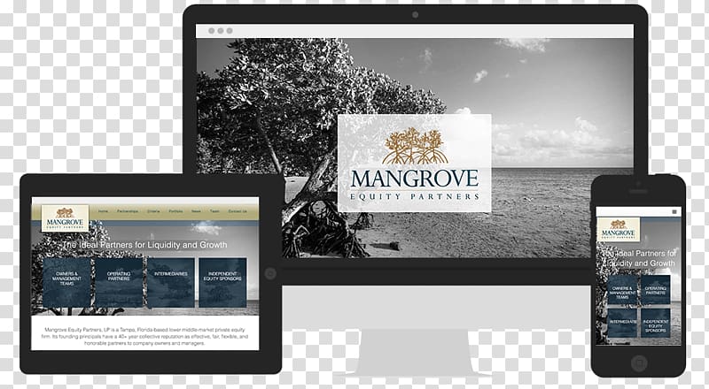 Mangrove Information Poster, others transparent background PNG clipart