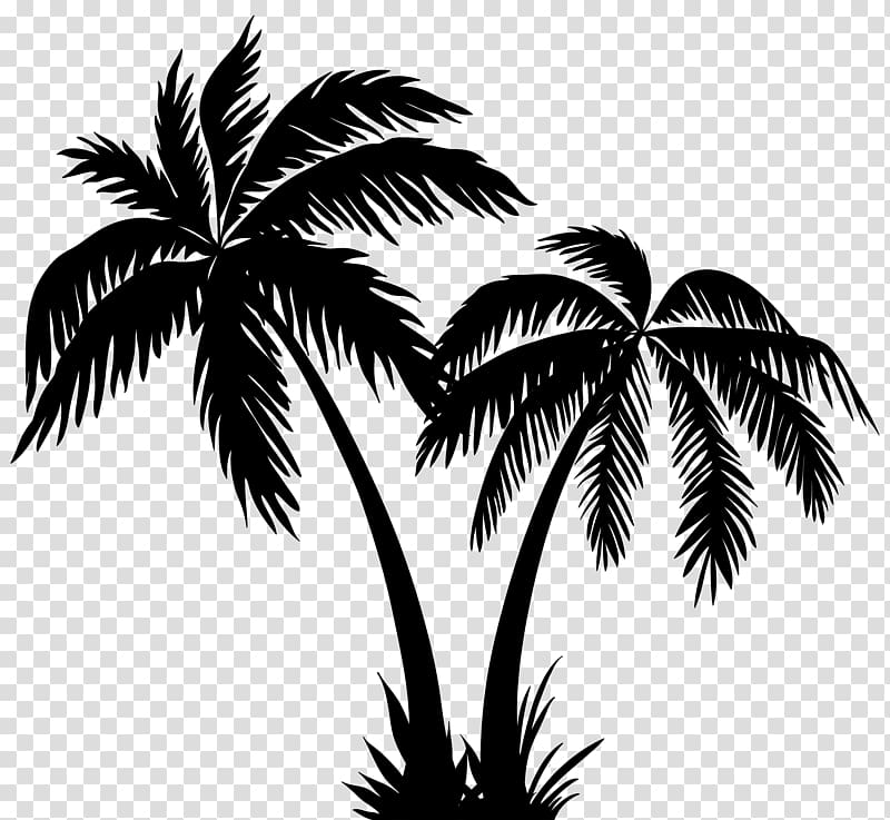 Free download | Silhouette Arecaceae , Palms Silhouette transparent