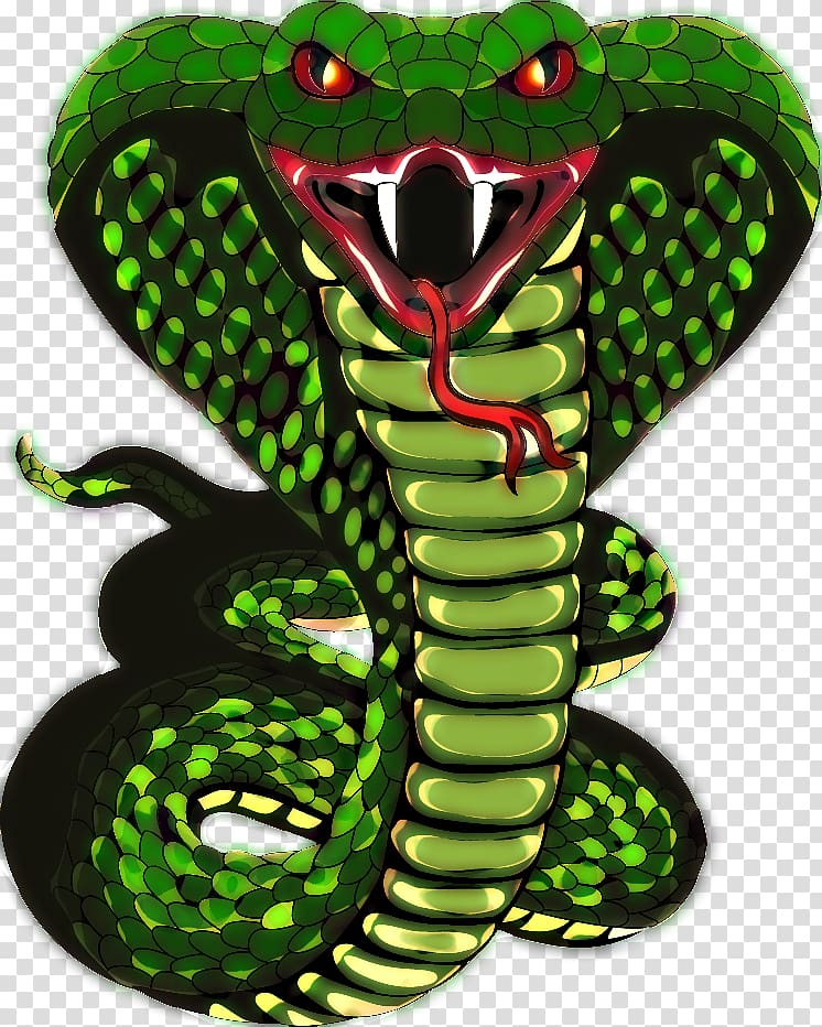  serpiente escala rey cobra, rey cobra PNG Clipart