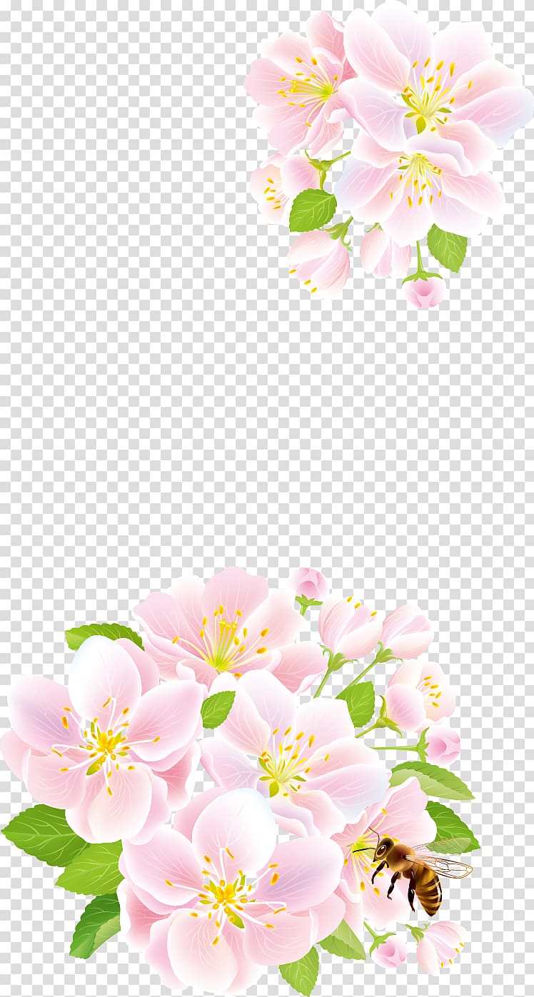 Flower Rose , Pink Plum snow plum creative transparent background PNG clipart